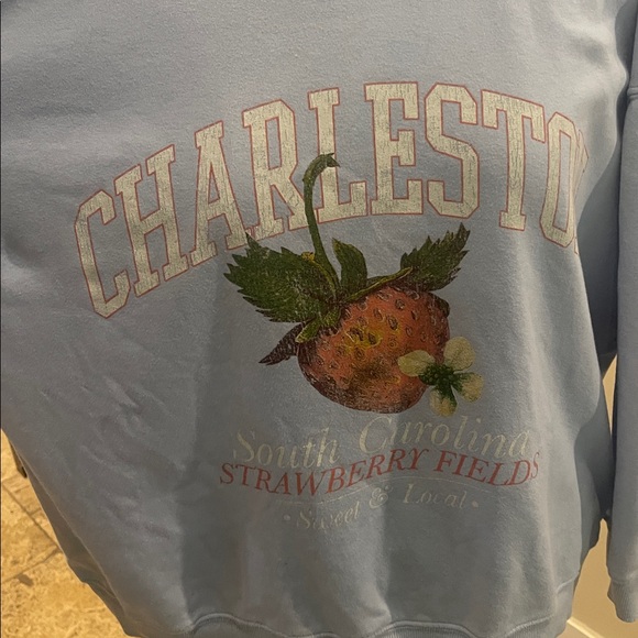 Arula Strawberry Fields Light Blue Graphic Sweatshirt 2X - Picture 2 of 5